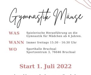 Spielerische Heranführung an die Gymnastik für Mädchen ab 4 Jahren